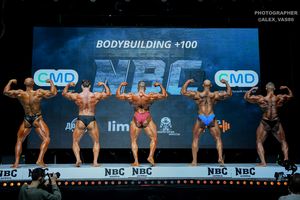 BODYBUILDING +100